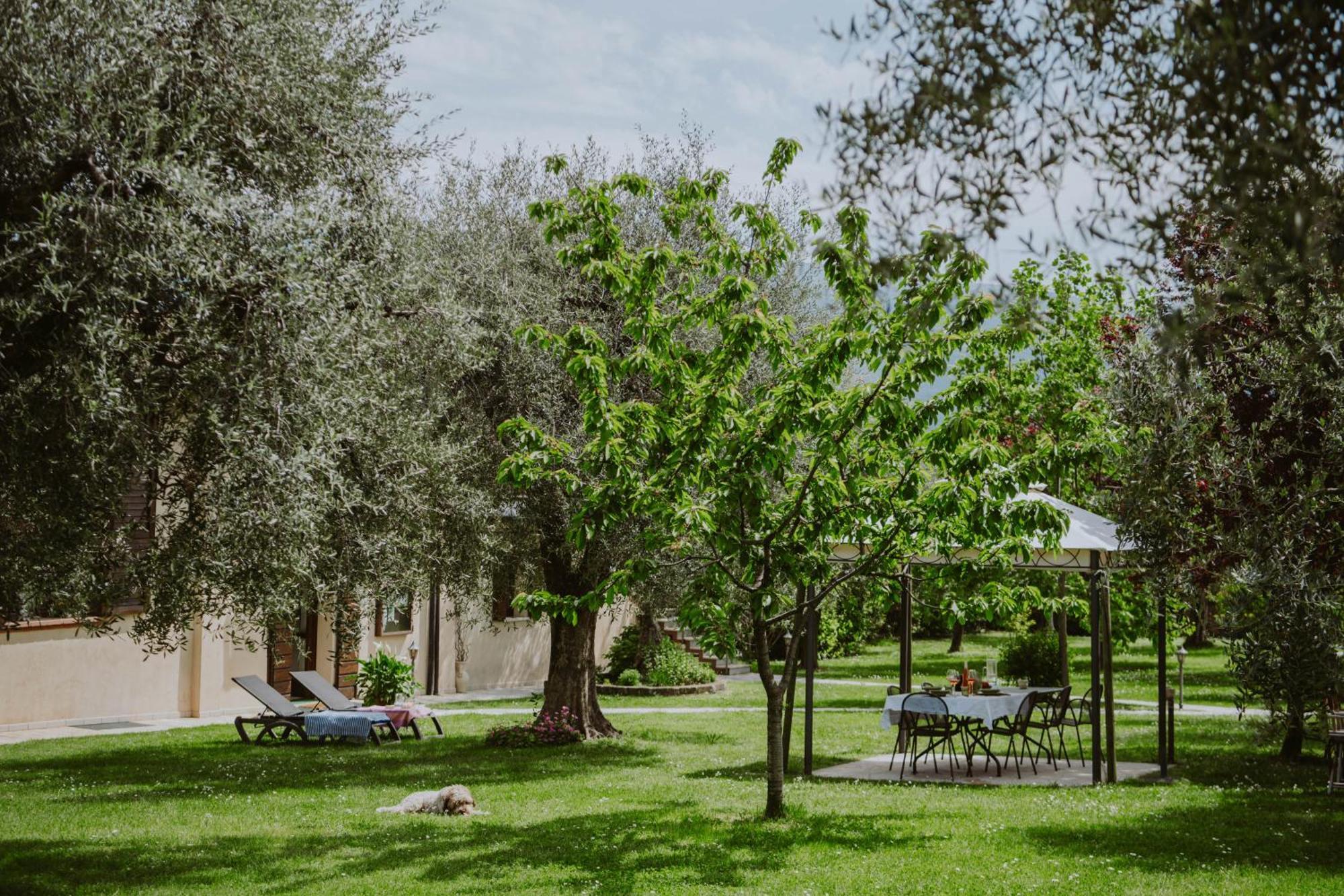 Campolivo Apartamento Gargnano Exterior foto